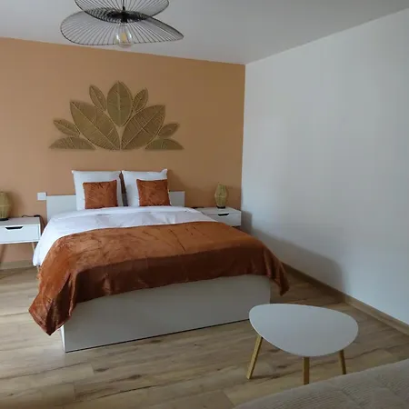 Les Precieuses Bed & Breakfast Reaumur